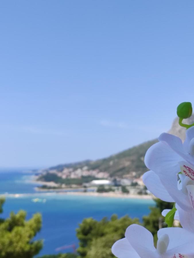 Rake Apartman Omiš Kültér fotó